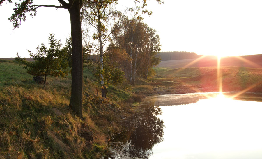 Herbst